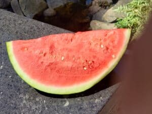 A Delicious Watermelon