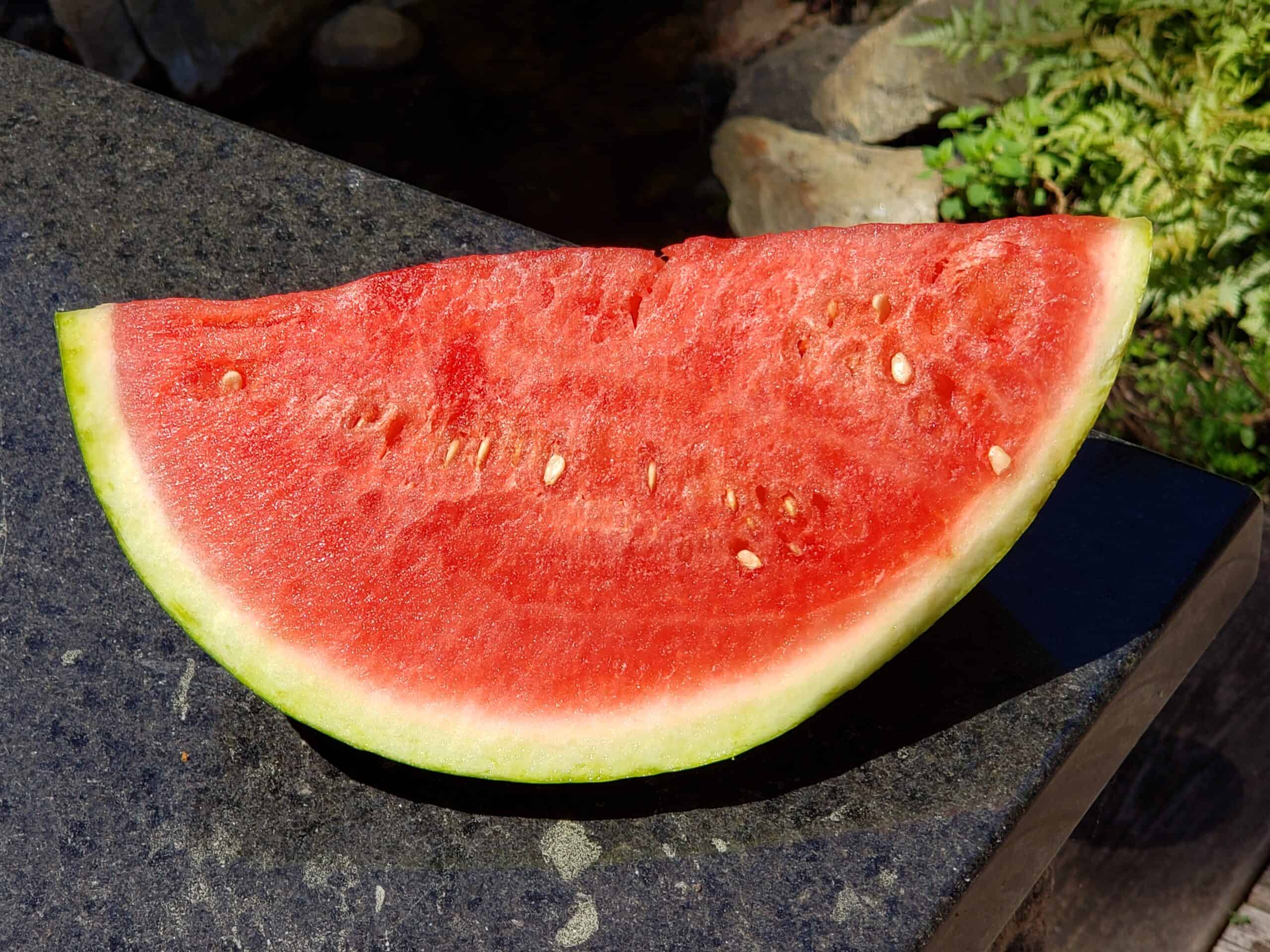 Delicious Water Melon