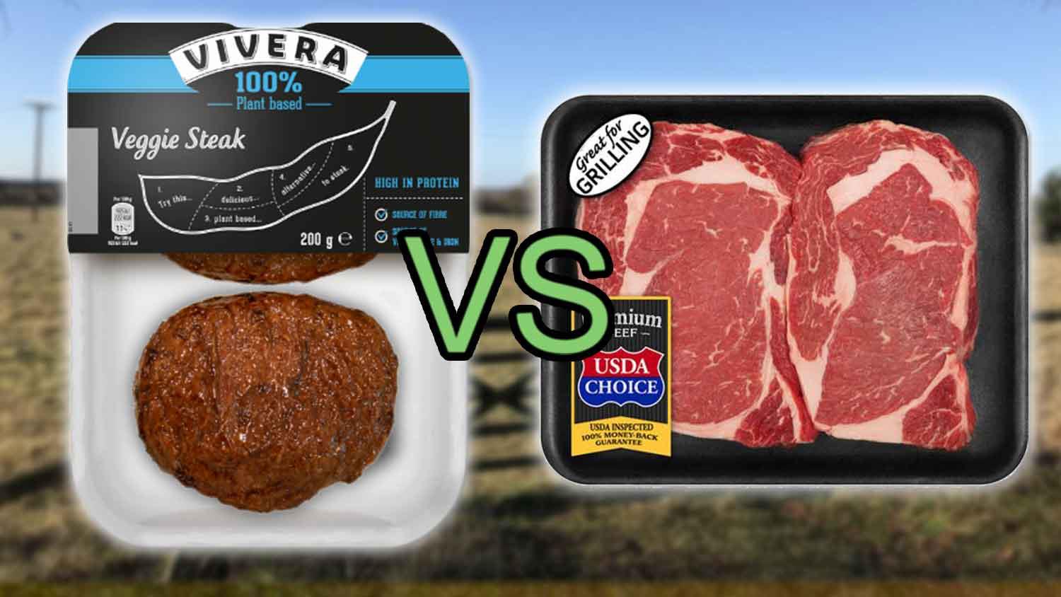 Can Vegan Meat Replace Real Meat?