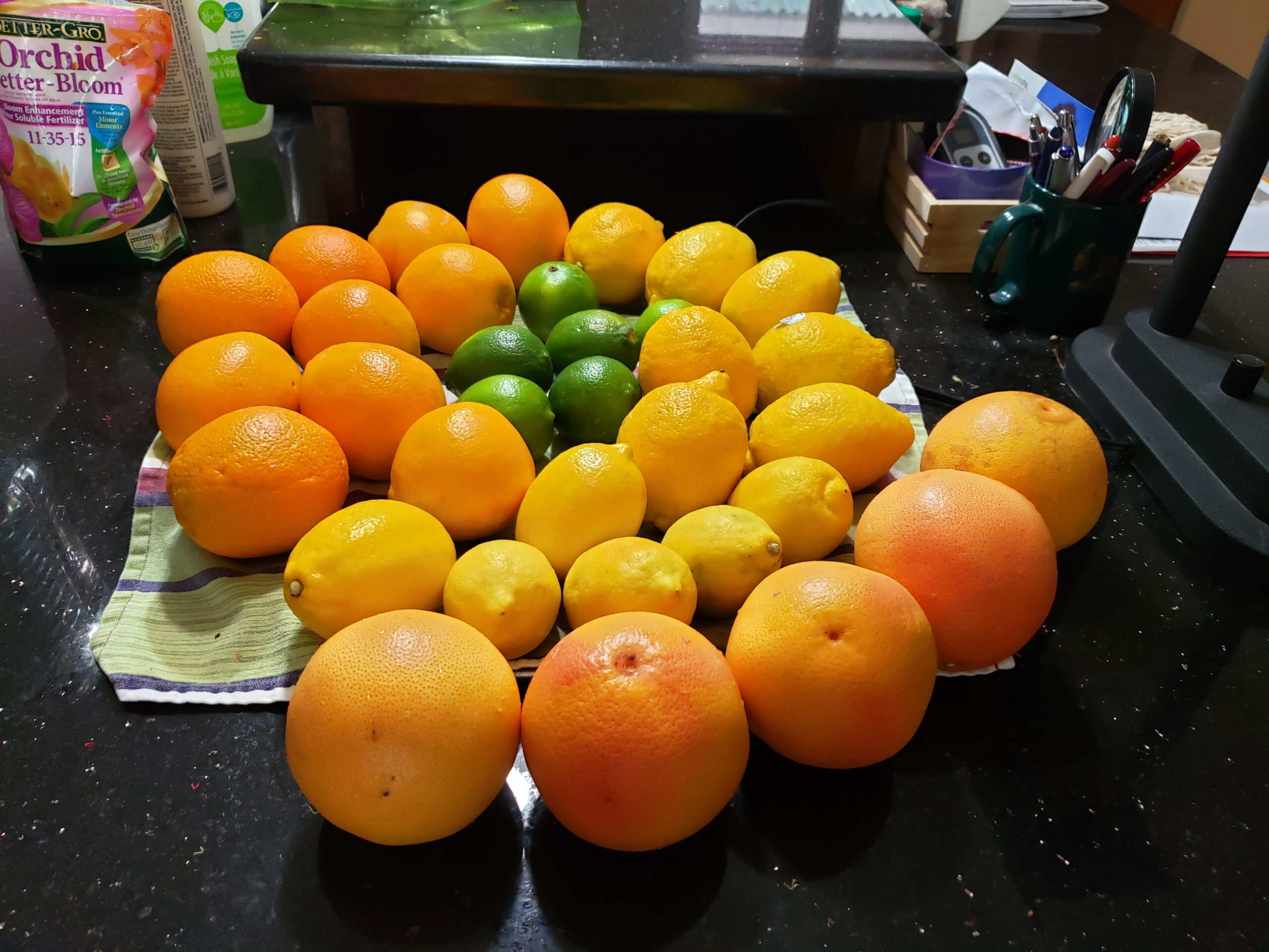 Citrus Fruit Platter