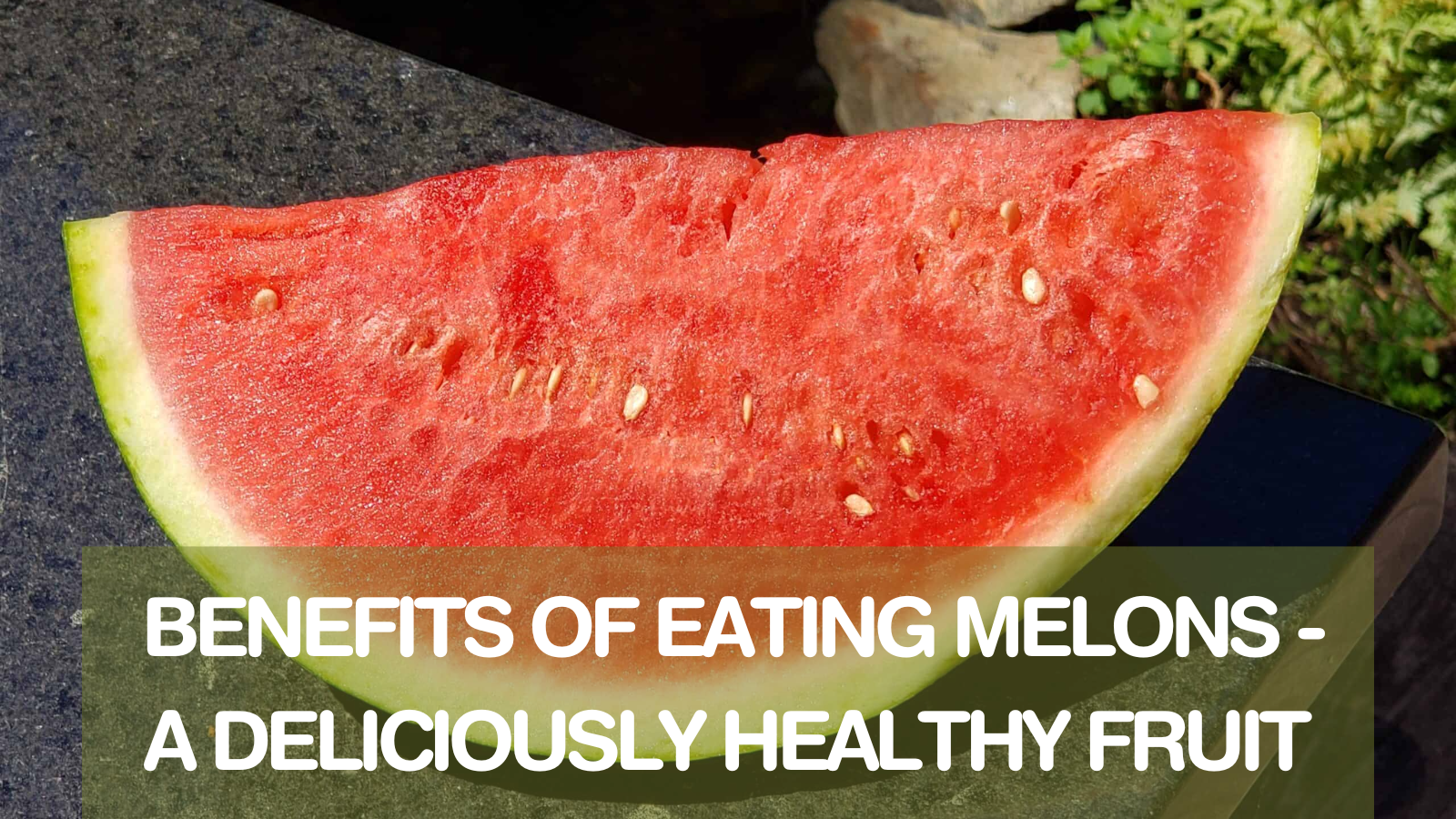 Benefits Of Eating Melons - A Delicious & Healthy Fruit