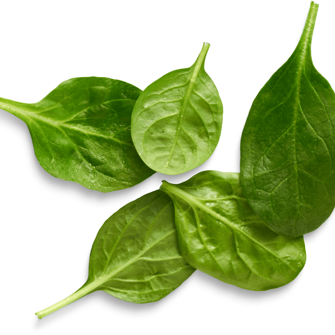 Spinach