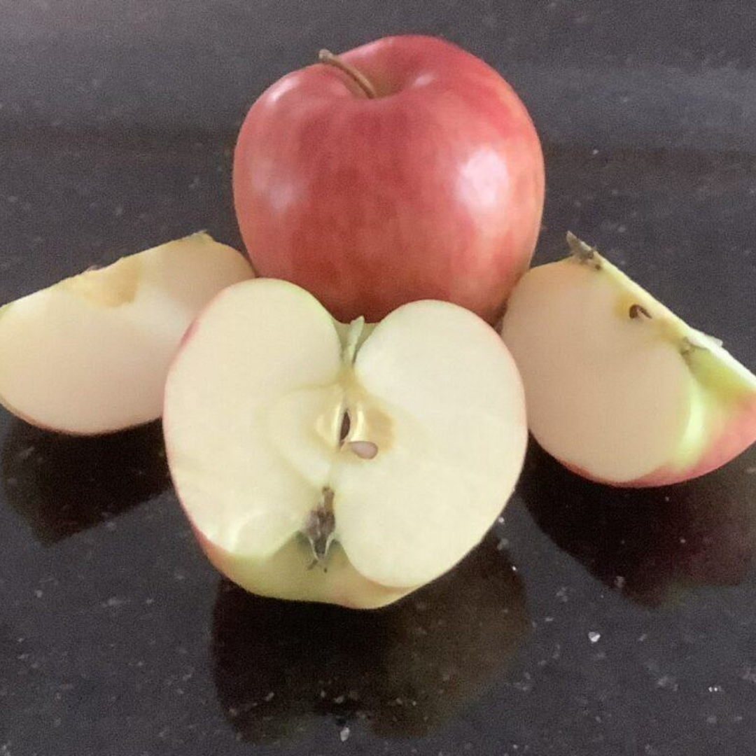 Conclusion To Keep A Doctor Away With An Apple A Day