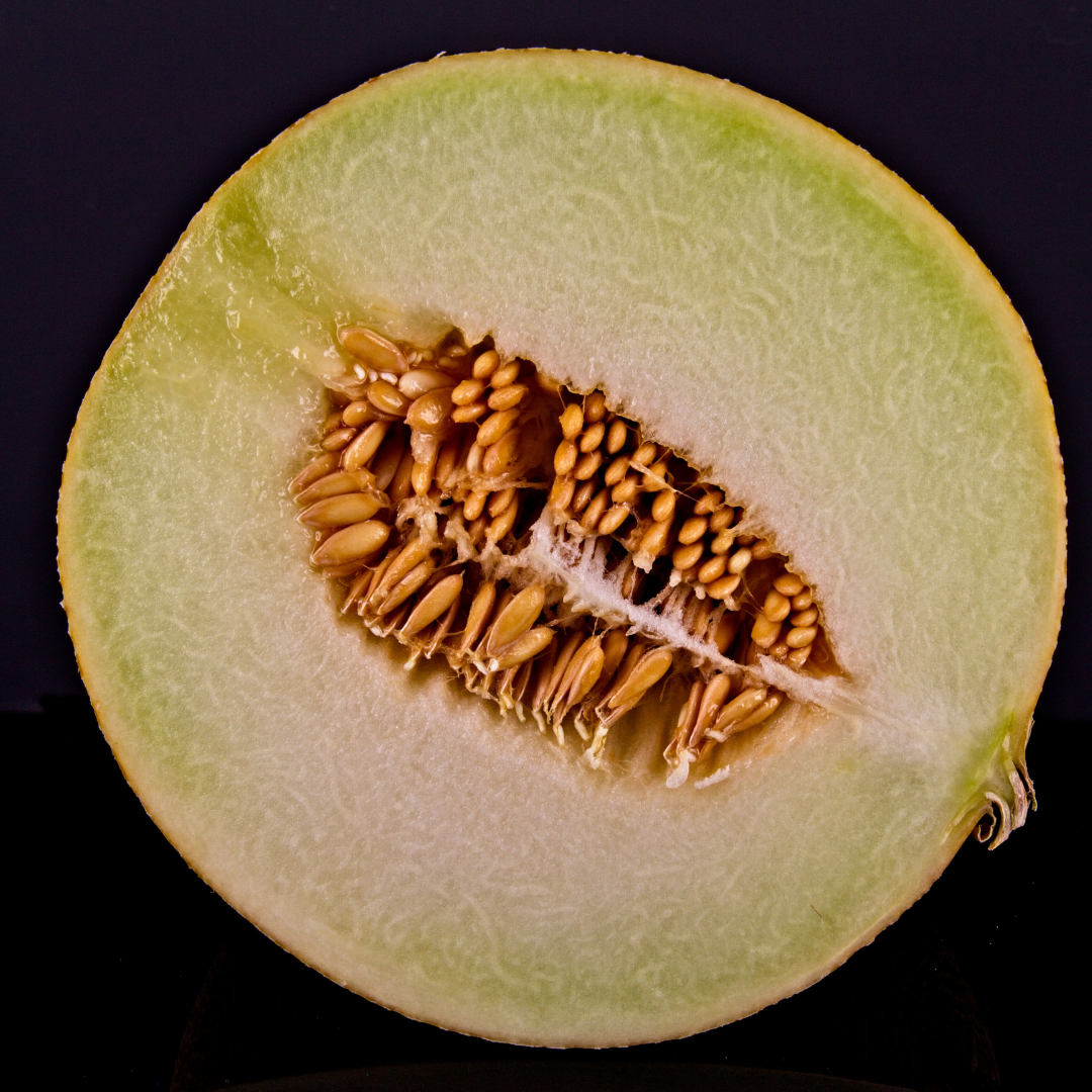 Galia Melon (sub-species of muskmelon)
