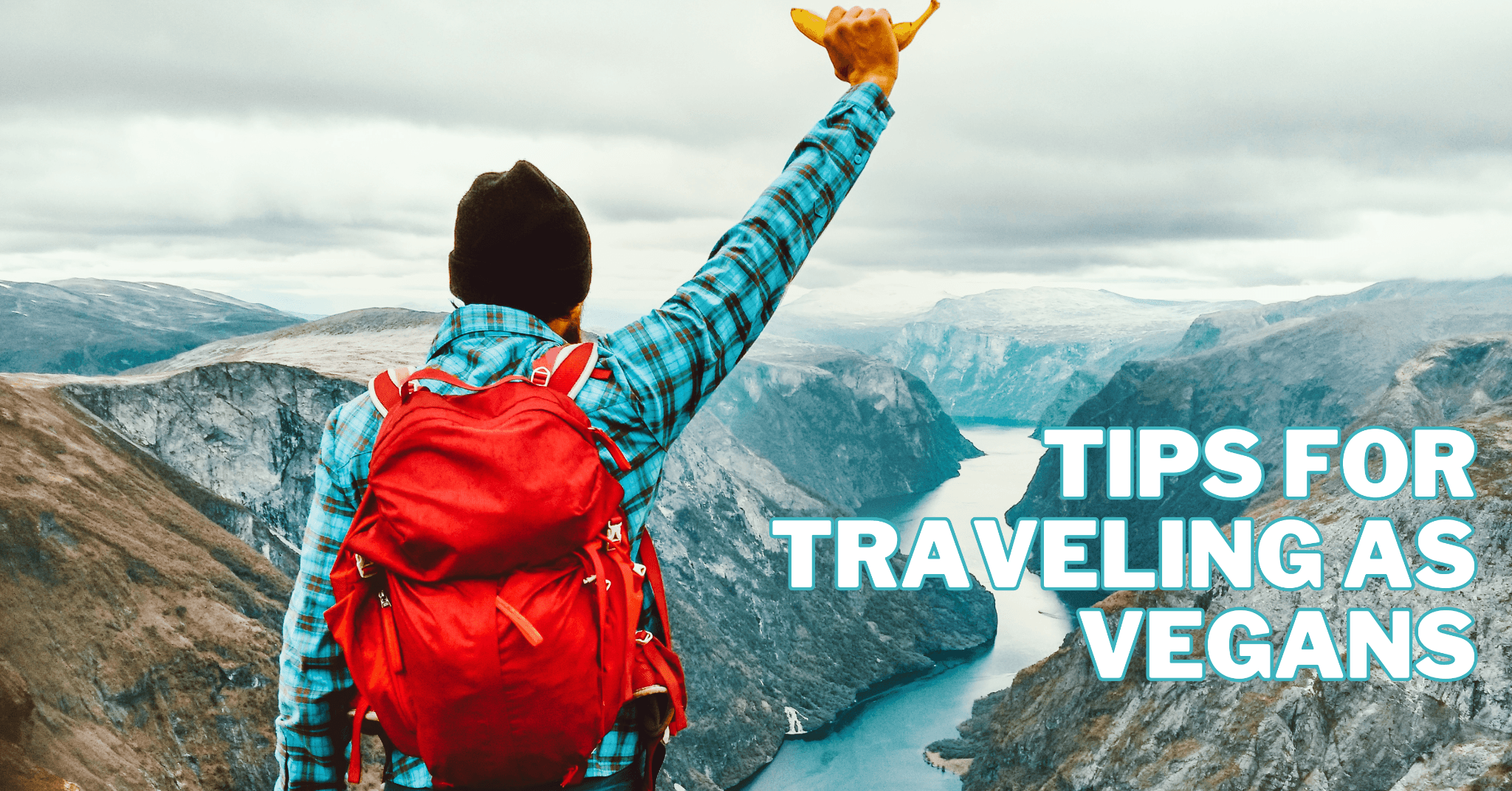 Best Tips For Travelling Vegans