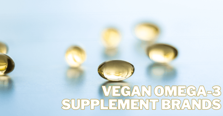Best Vegan Omega-3 Supplement Brands