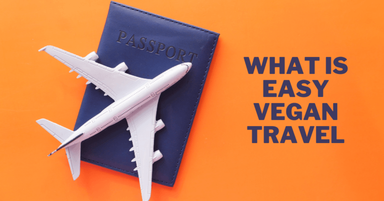 What Is Easy Vegan Travel