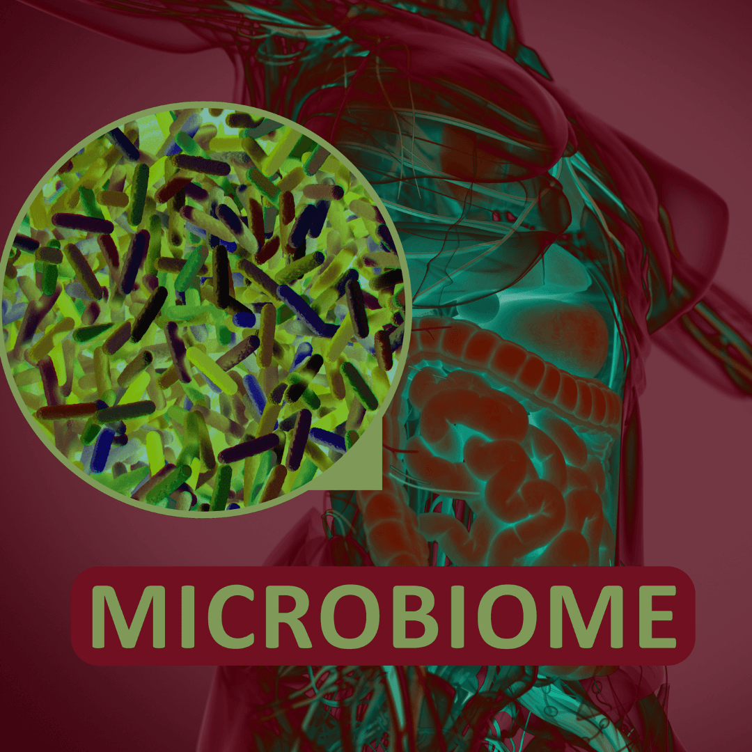 Gut Microbiome Support