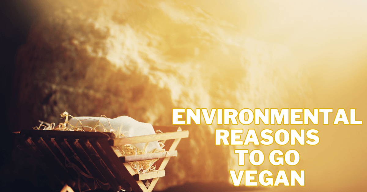 Environmental Reasons To Go Vegan