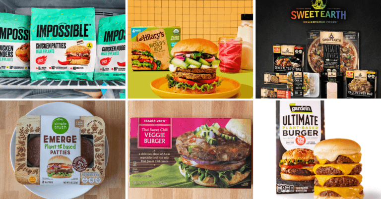 Top-Rated Vegan Burger Brands