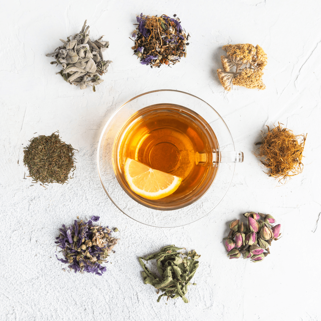 Herbal Teas And Infusions For Recovery