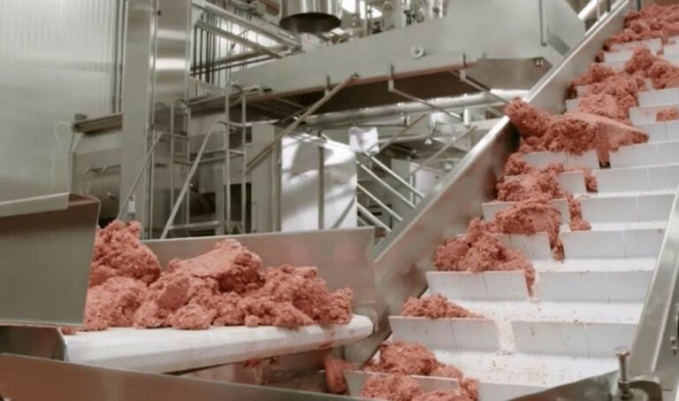 How Vegan Meat Is Made