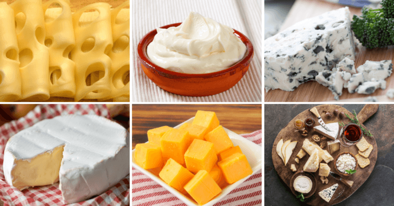 Is Vegan Cheese Healthy
