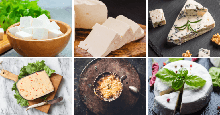 What Cheese Can Vegetarians Eat