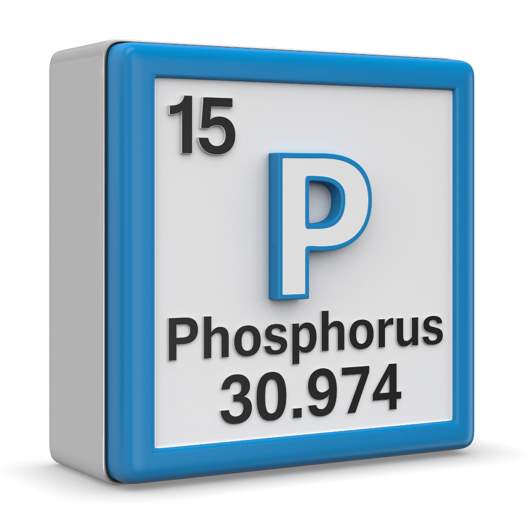Source Of Phosphorus