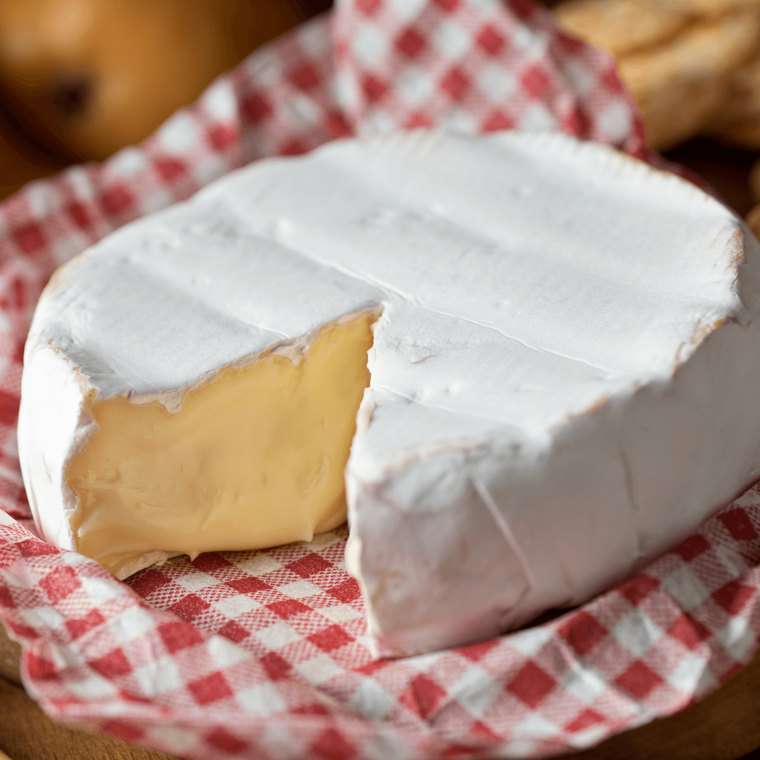 Vegan Brie