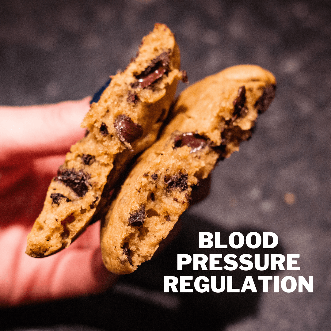 Blood Pressure Regulation