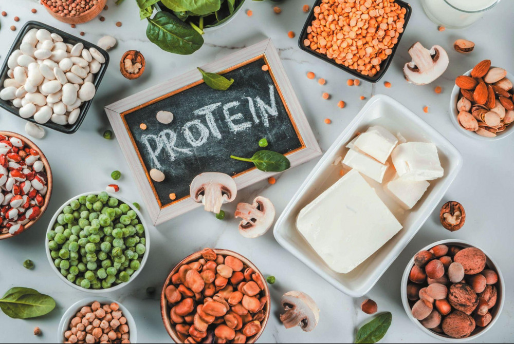 What Is Protein?