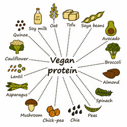 How Vegans Get Protein