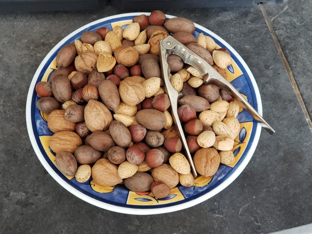 Nuts, Seeds, and Beans