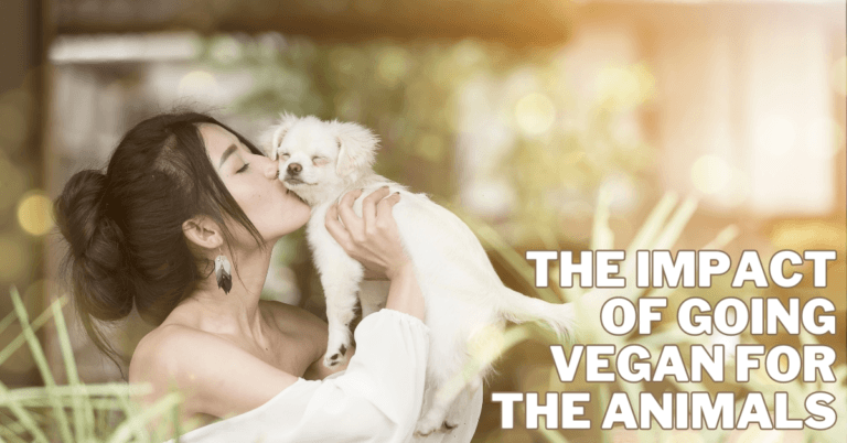 The Impact Of Going Vegan For The Animals