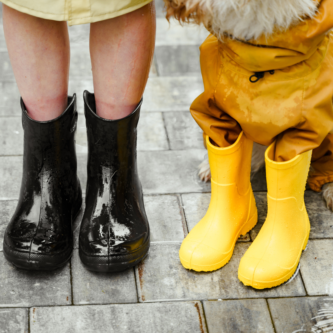 Rain Boots