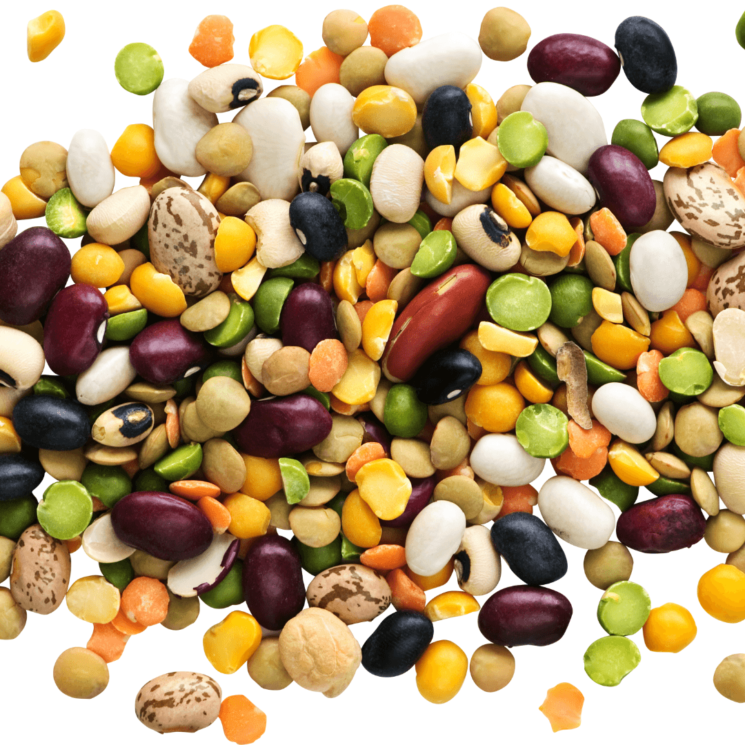 Legumes (Lentils, Chickpeas, Black Beans, etc.)