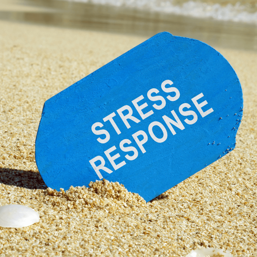 Improved Stress Response