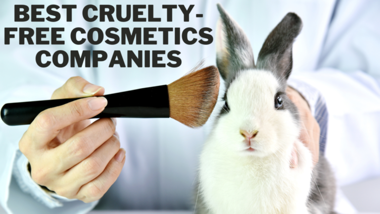 Best Cruelty-Free Cosmetics Companies