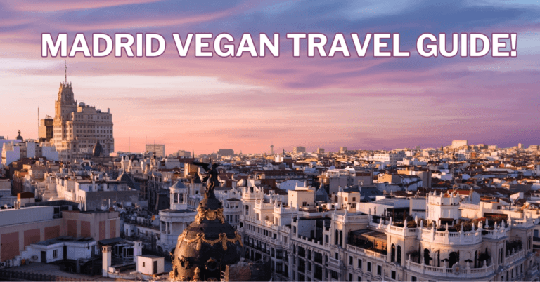 Madrid Vegan Travel Guide