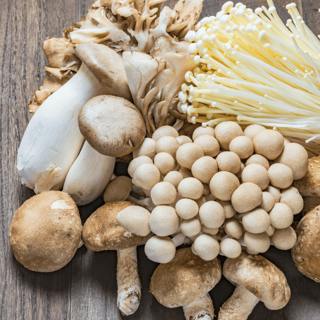 Best Vegan Foods With Vitamin B12 In 2024