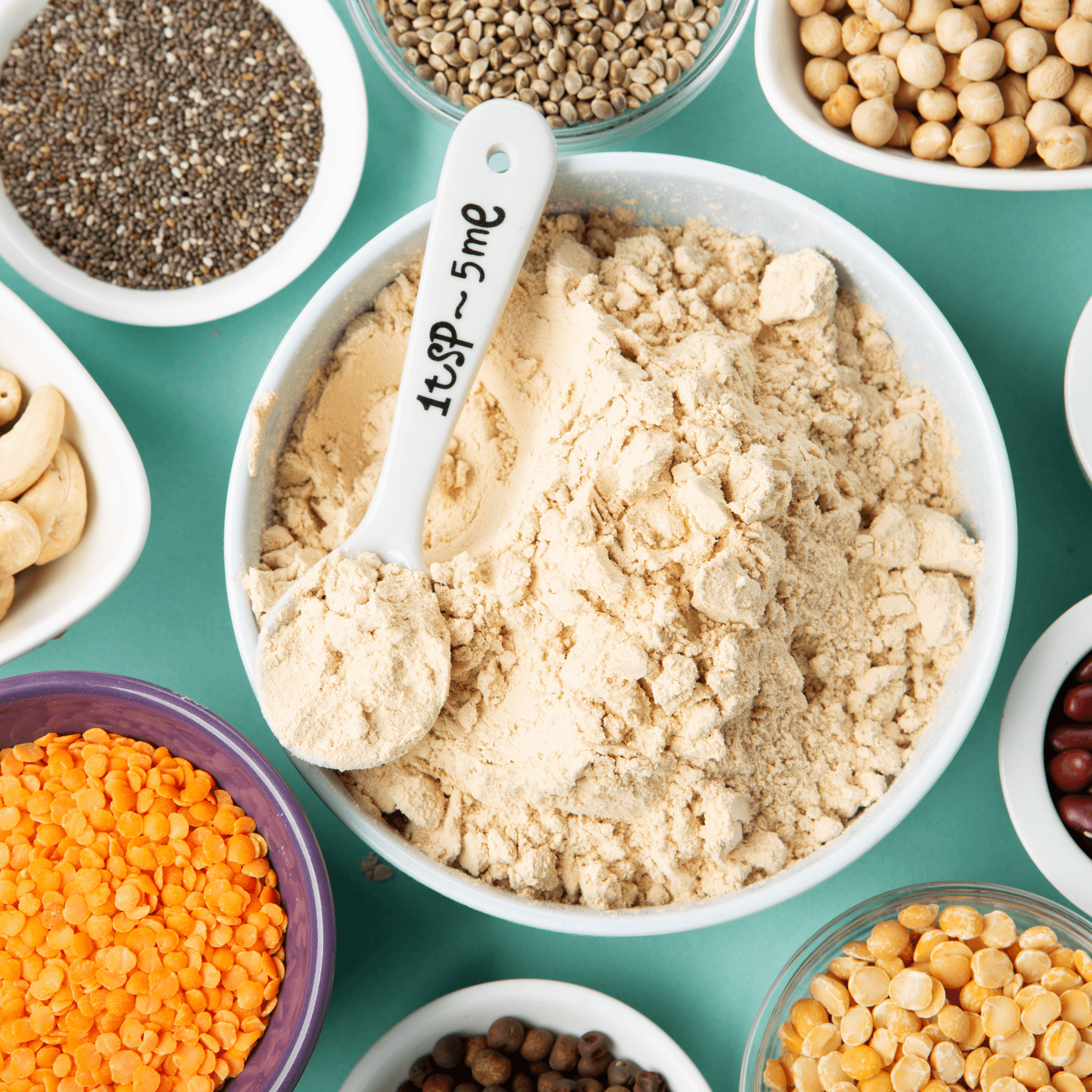What Are Plant-Based Protein Foods?