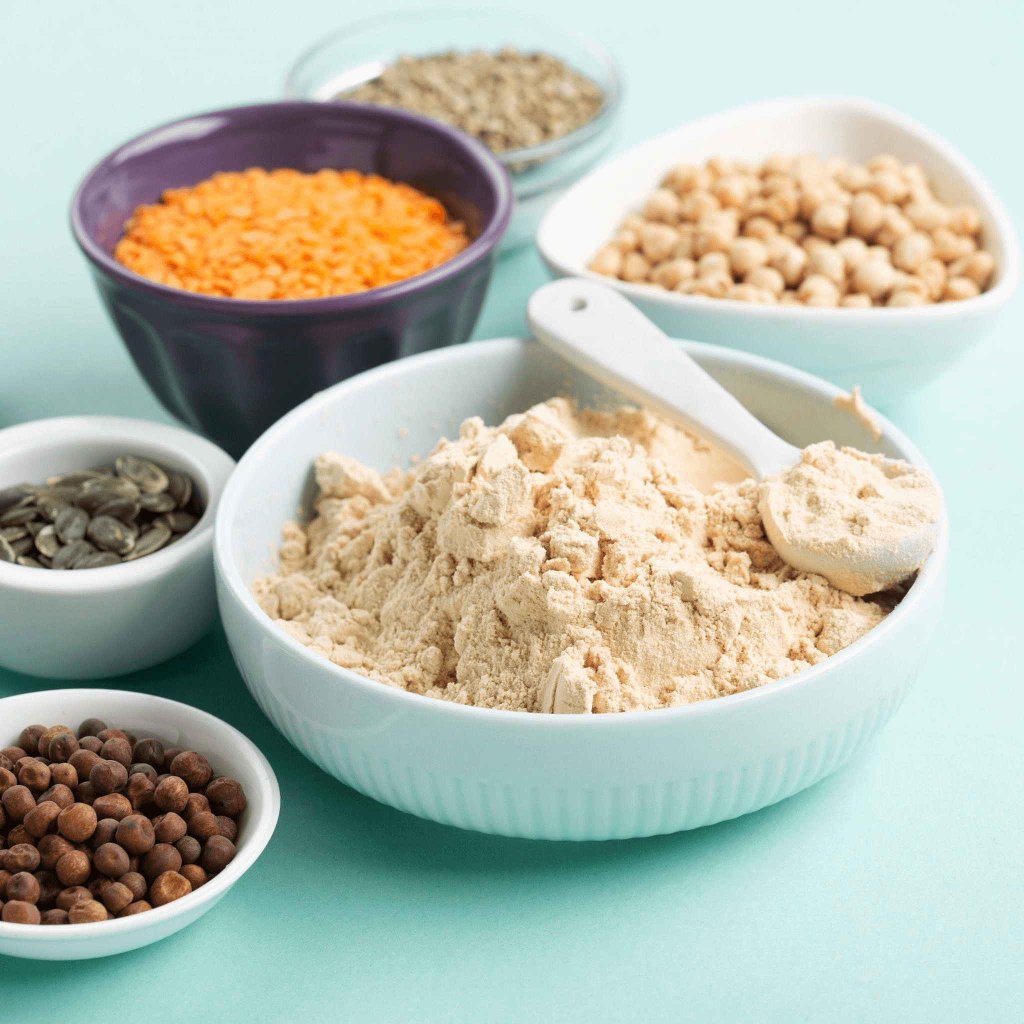 What Are Vegan Protein Powders?