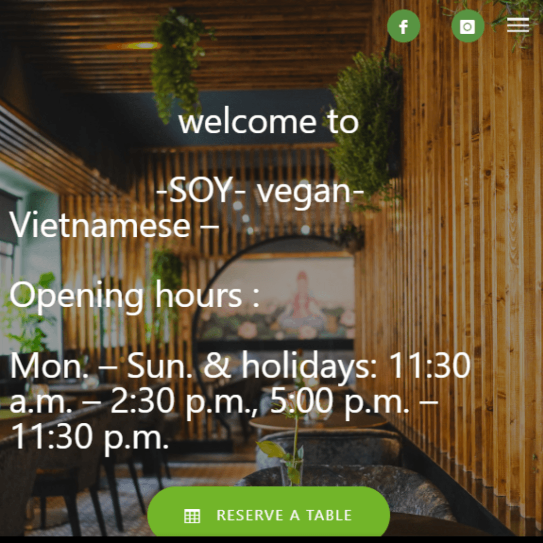 Soy Vegan Vietnamese Food, Munich