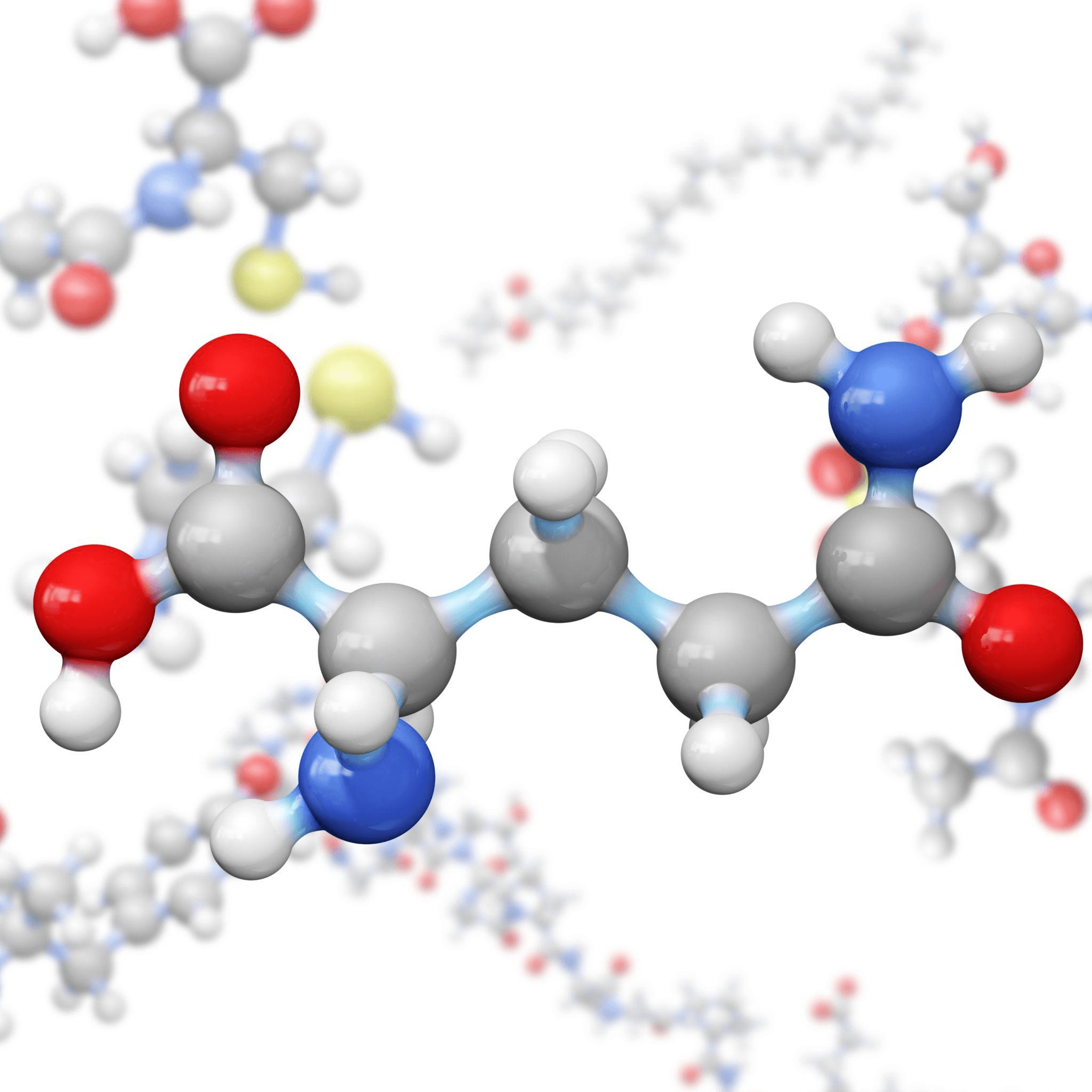 Complete Amino Acid Profile