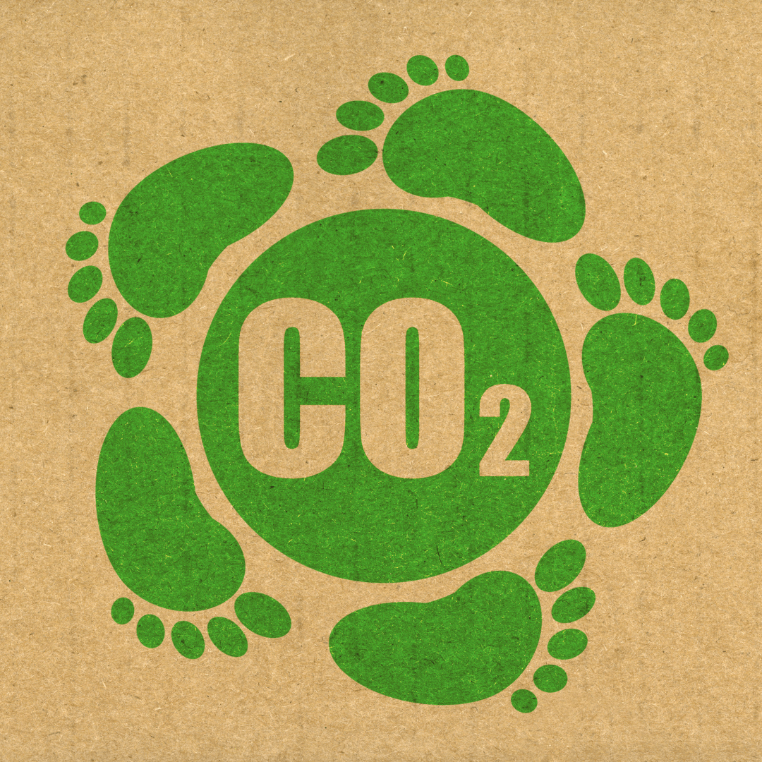 Reduction Of Carbon Footprint