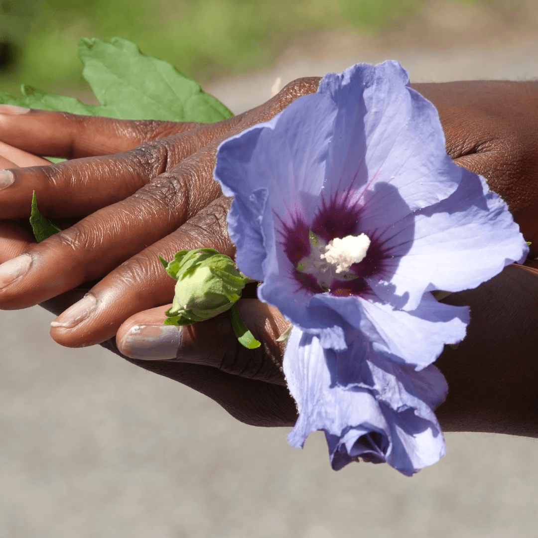 Promotion Of Humane Labour Practice