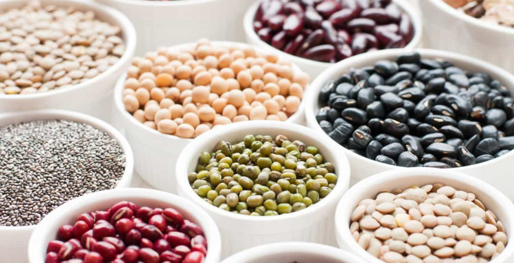 Plant-Based Protein Foods