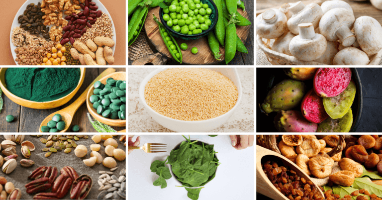 Best Vegan Sources For Anemia
