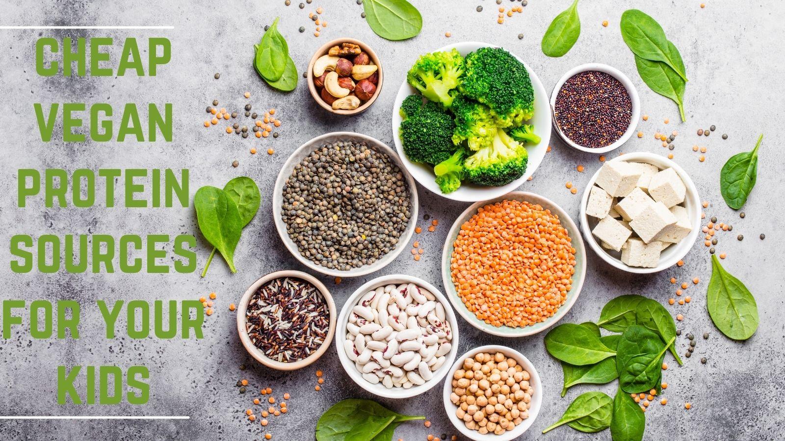 11 Essential Cheap Vegan Protein Sources For Your Kids