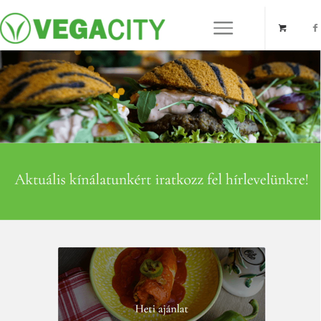 VegaCity