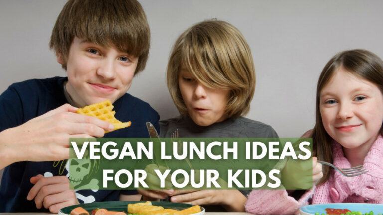 14 Easy Vegan Lunch Ideas For Your Kids