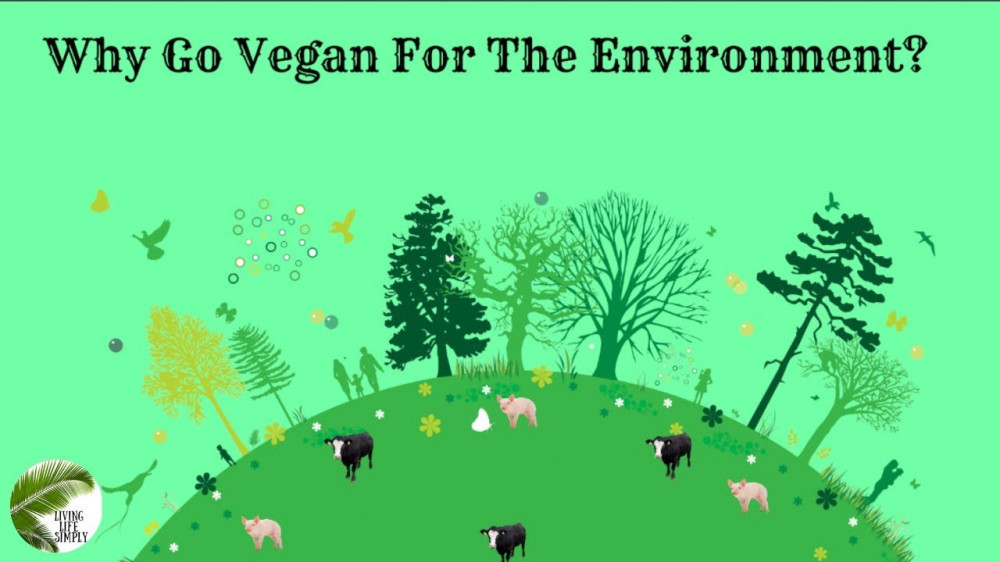 Veganism And The Environment