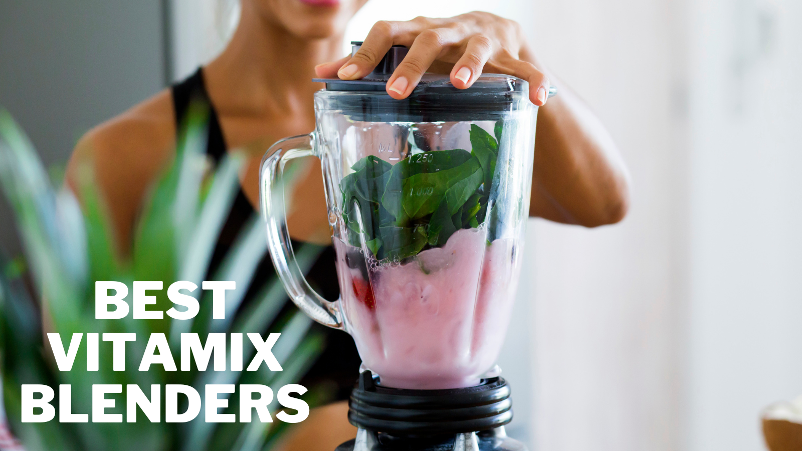 Best Vitamix Blenders