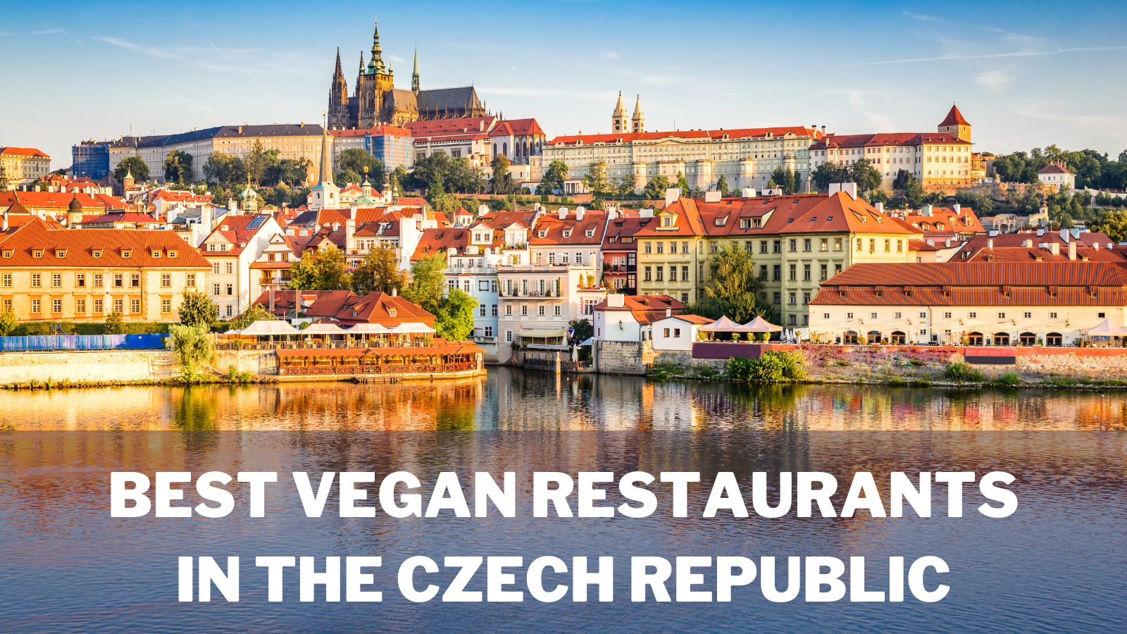 Best Vegan Restaurants In The Czech Republic