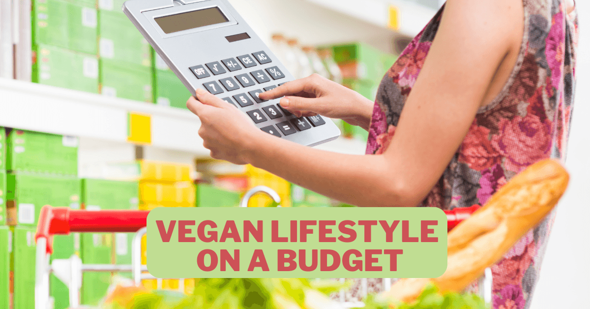 Vegan Lifestyle On A Budget