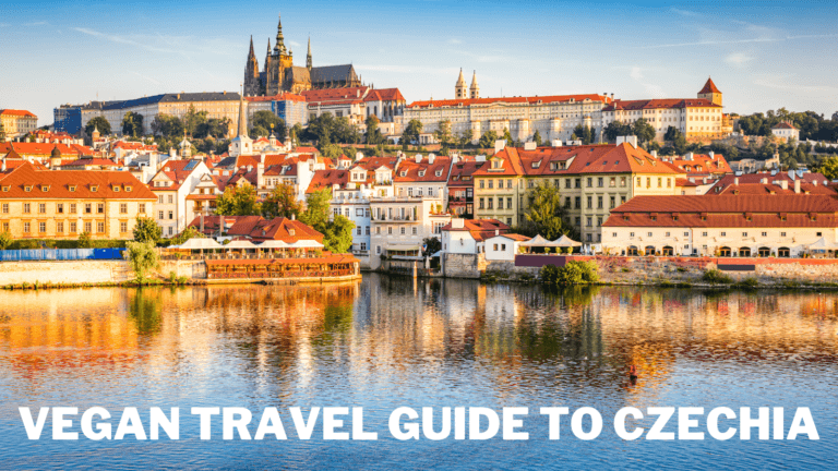 Vegan Travel Guide To Czechia