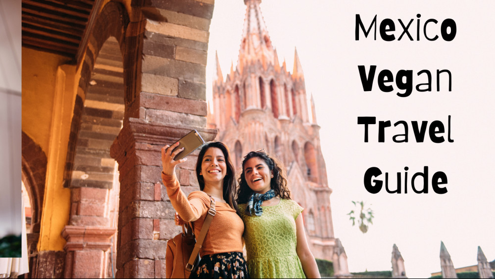 Mexico Vegan Travel Guide With Popular Vegan Restaurants