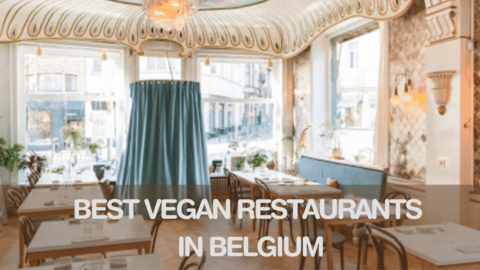 Best Vegan Restaurants In Belgium