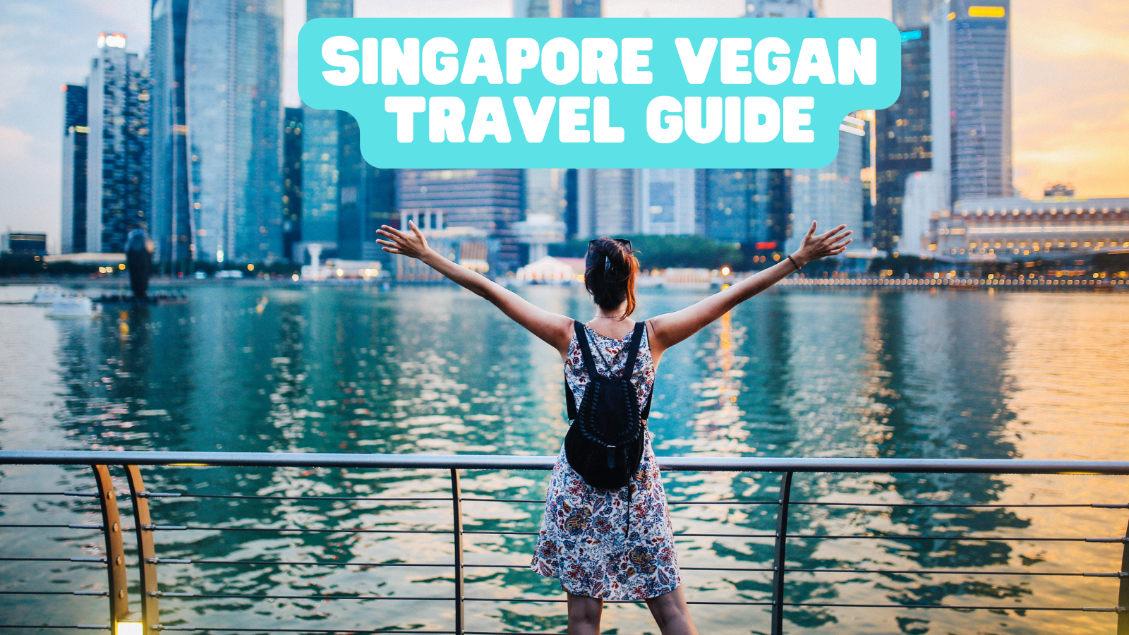 Singapore Vegan Travel Guide With Popular Vegan Restaurants